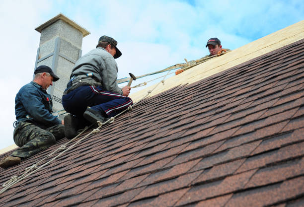 Best Gutter Installation and Roofing  in Driggs, ID